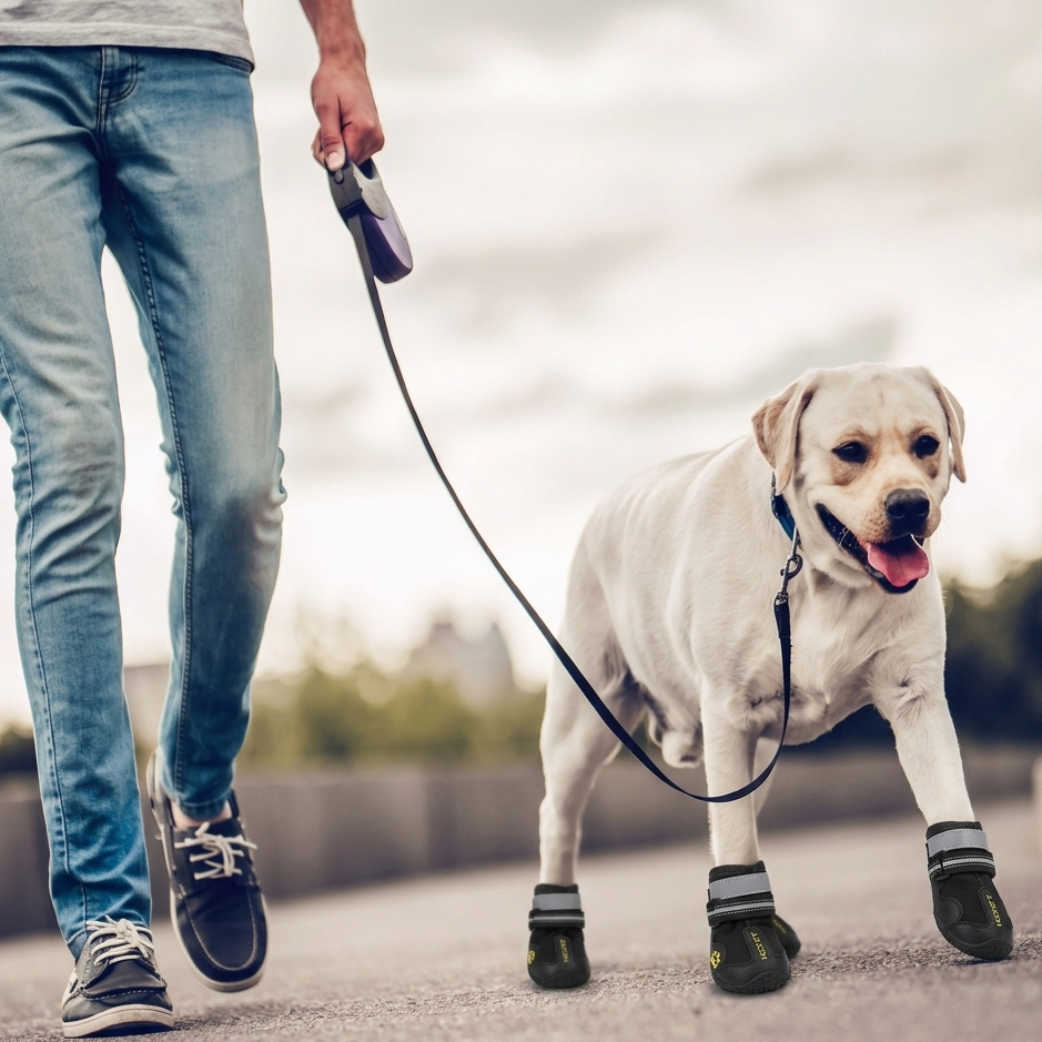 Pet Shoes