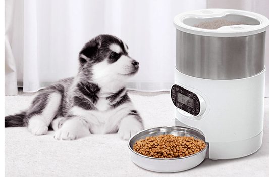 SmartPaws Remote Pet Feeder