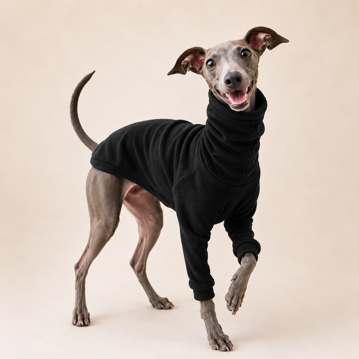 Classic High-Neck Dog Sweater – Soft Cotton