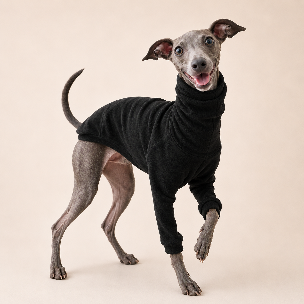 Classic High-Neck Dog Sweater – Soft Cotton