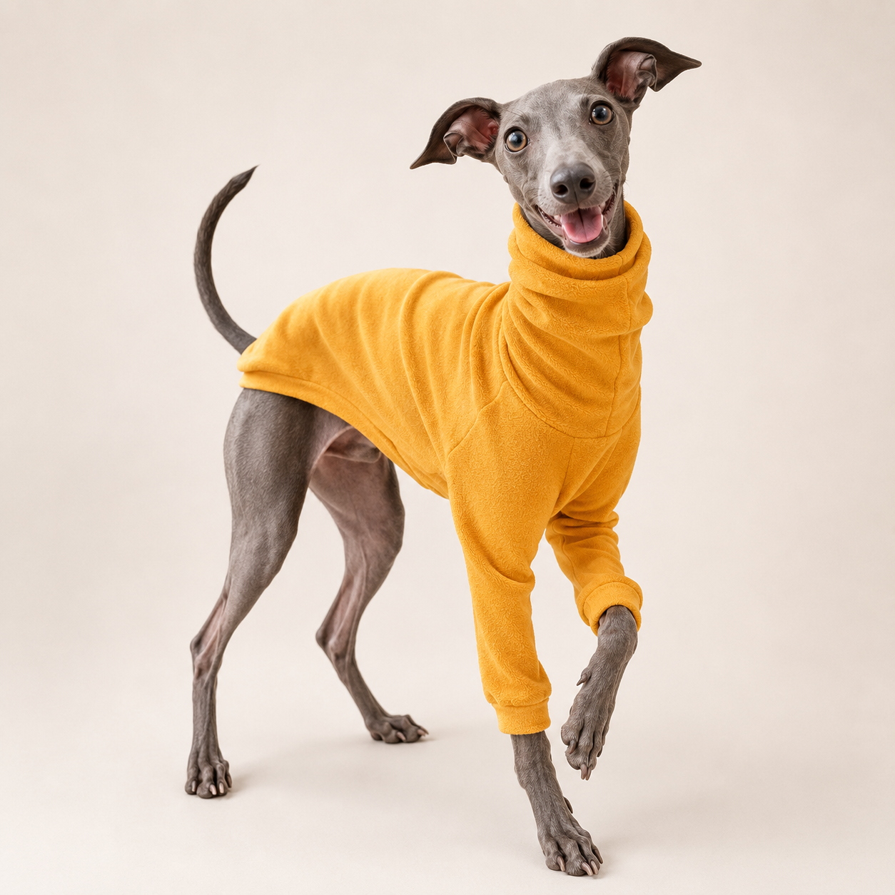Classic High-Neck Dog Sweater – Soft Cotton