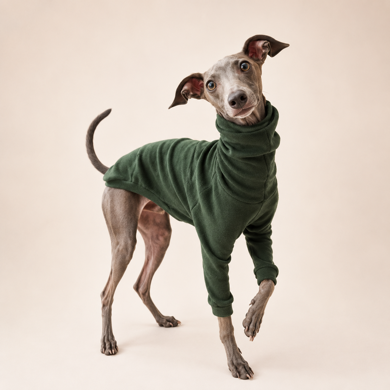Classic High-Neck Dog Sweater – Soft Cotton