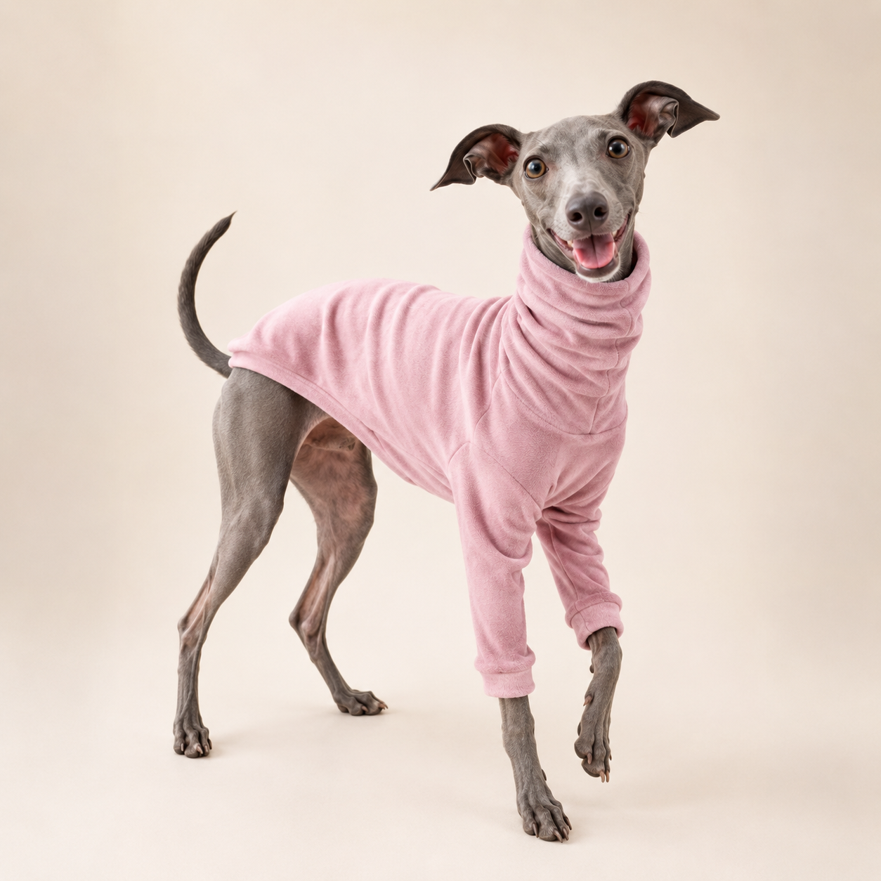 Classic High-Neck Dog Sweater – Soft Cotton
