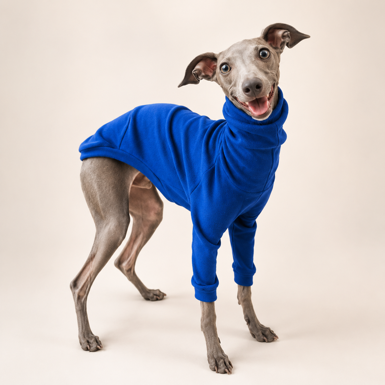 Classic High-Neck Dog Sweater – Soft Cotton