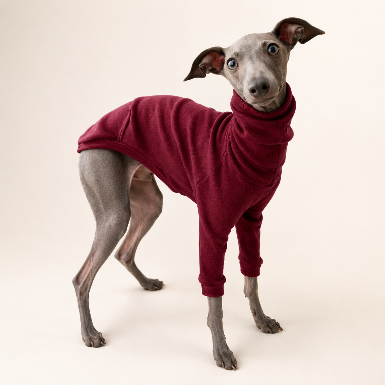 Classic High-Neck Dog Sweater – Soft Cotton