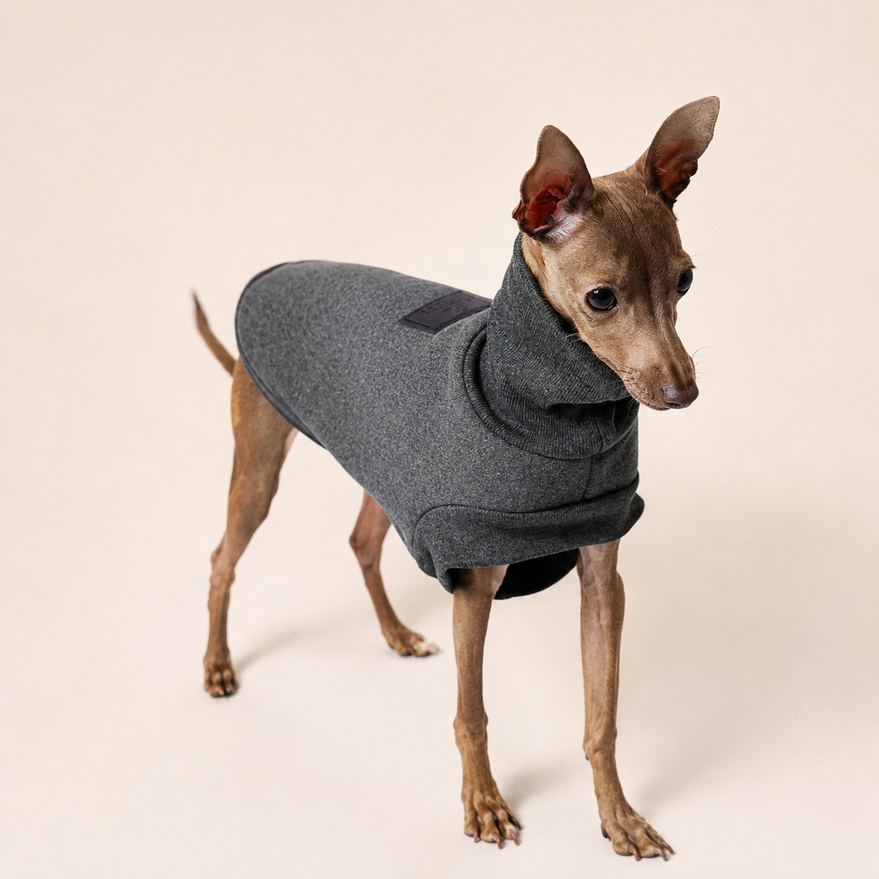 Fleece Dog Coat – Warm Winter Jacket for Small & Slim Breeds