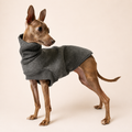 Fleece Dog Coat – Warm Winter Jacket for Small & Slim Breeds