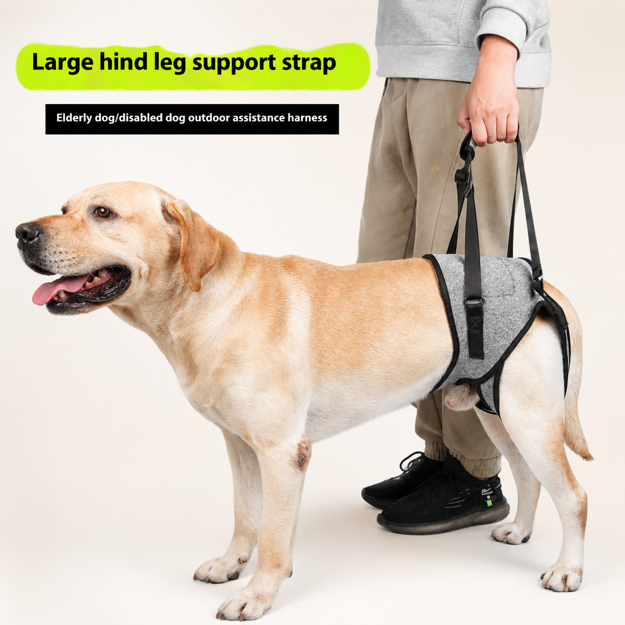 Dog Rear Leg Support Harness | Lifting Aid for Injured & Senior Dogs