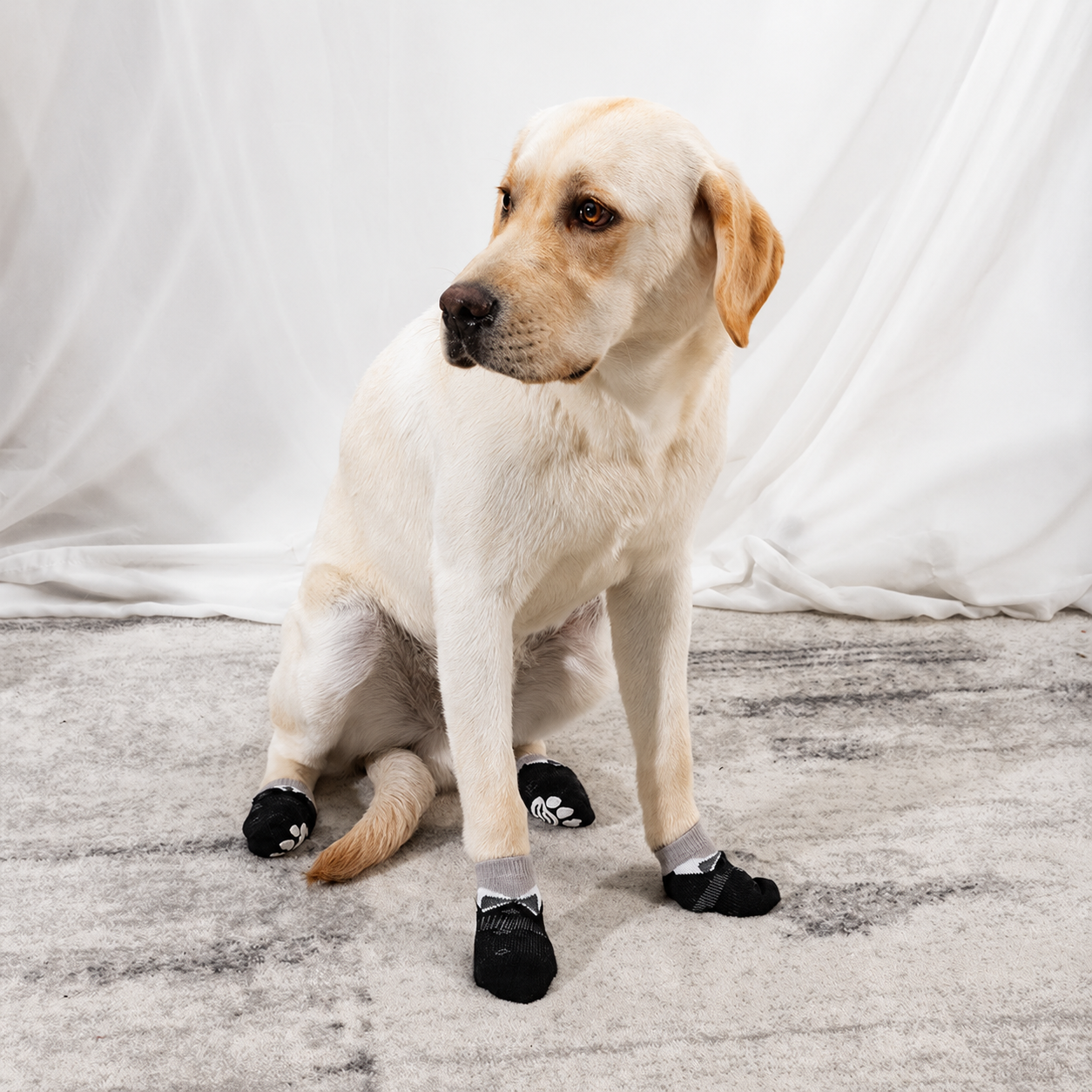 Dog Socks | Soft Knit Paw Covers for Dogs