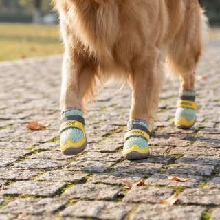 Dog Shoes – Breathable Mesh Dog Boots with Reflective Straps, 4-Piece Set