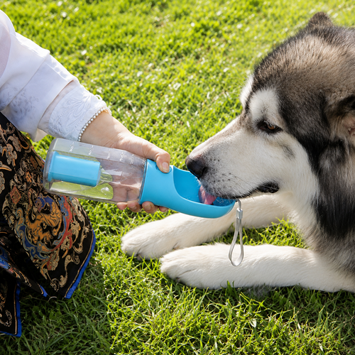 3-in-1 Portable Pet Water Bottle