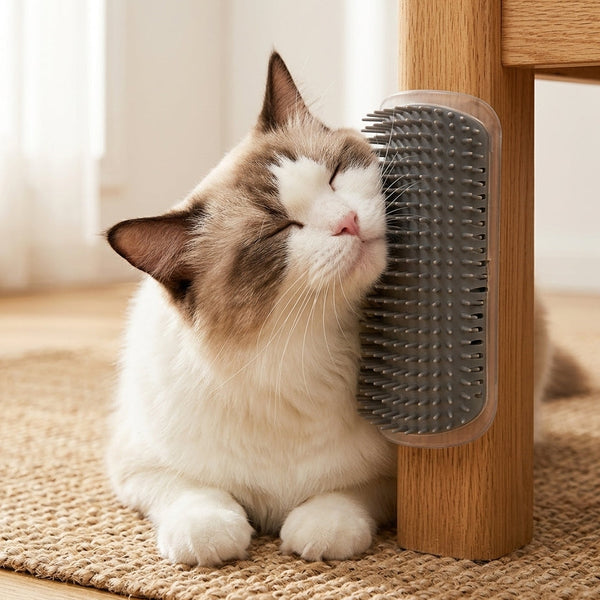 Cat Corner Scratcher & Self-Grooming Brush