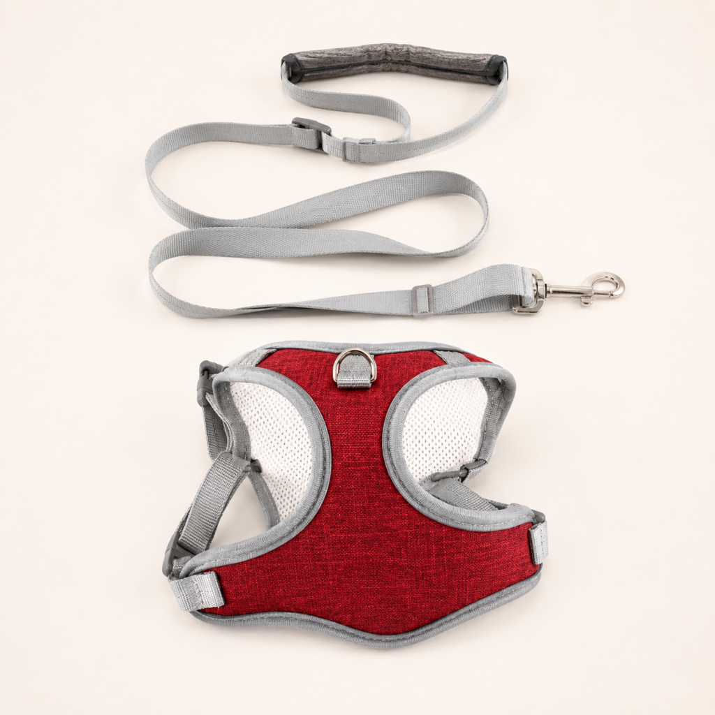 Dog & Cat Harness with Leash – Adjustable Vest-Style Fit