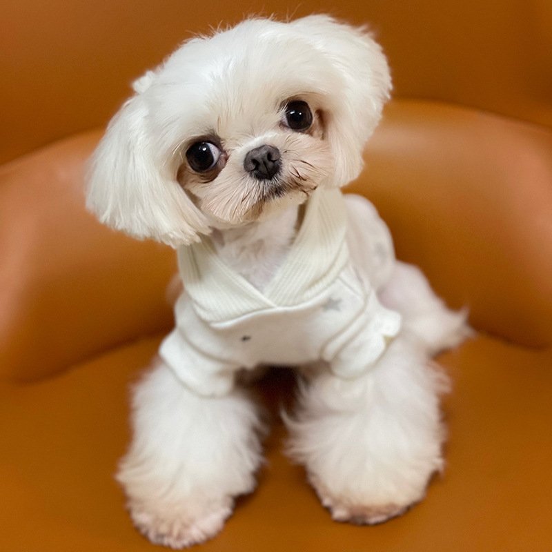 Fashion Casual Pet Teddy Clothes - Image 6