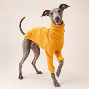Solid Color Turtleneck Dog Sweater with Ribbed Trim