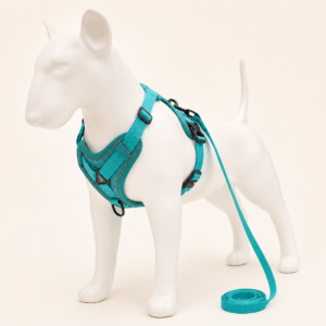 Reflective Step-In Dog Harness with Matching Leash