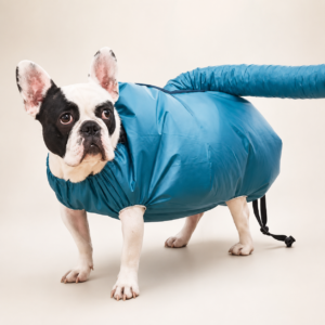 Dog Drying Bag – Hands-Free Pet Drying Bag for Dogs & Cats, S–2XL