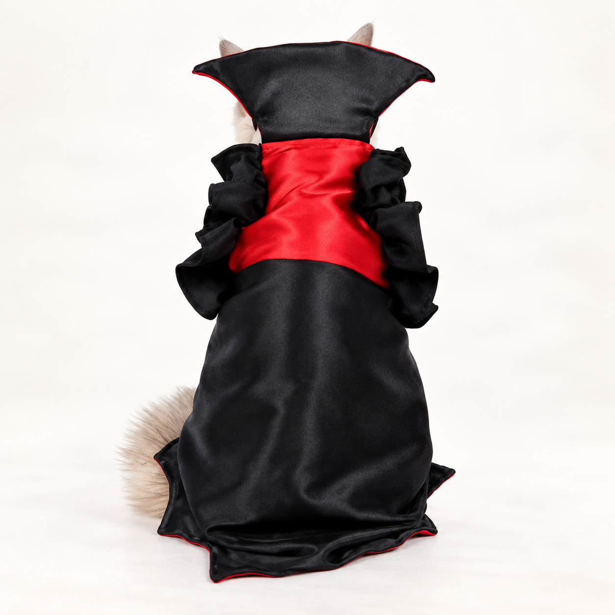 Cat Halloween Vampire Transformation Costume - Image 3