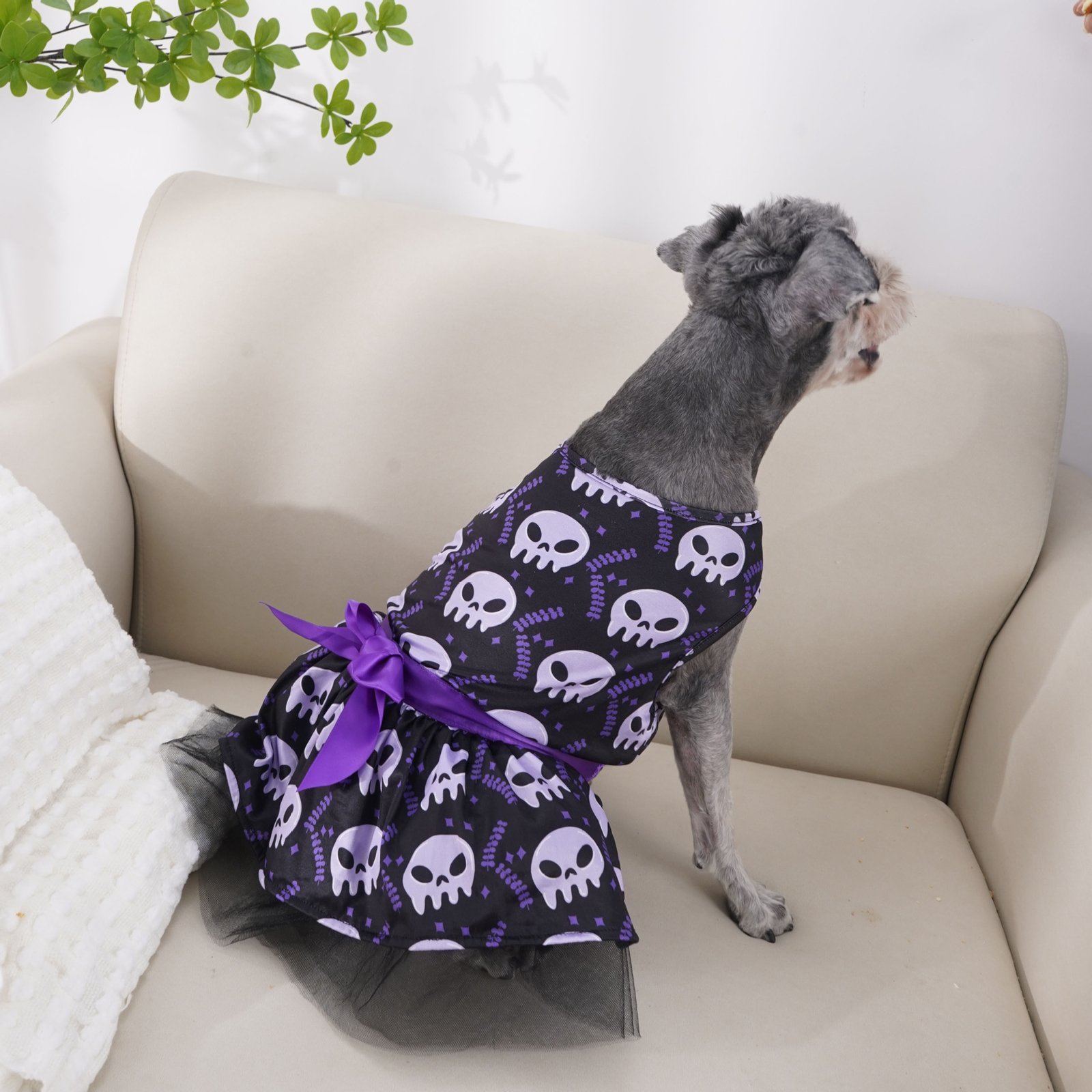 Dog Halloween Costume – Skull Print Tulle Dress with Purple Bow - Image 4
