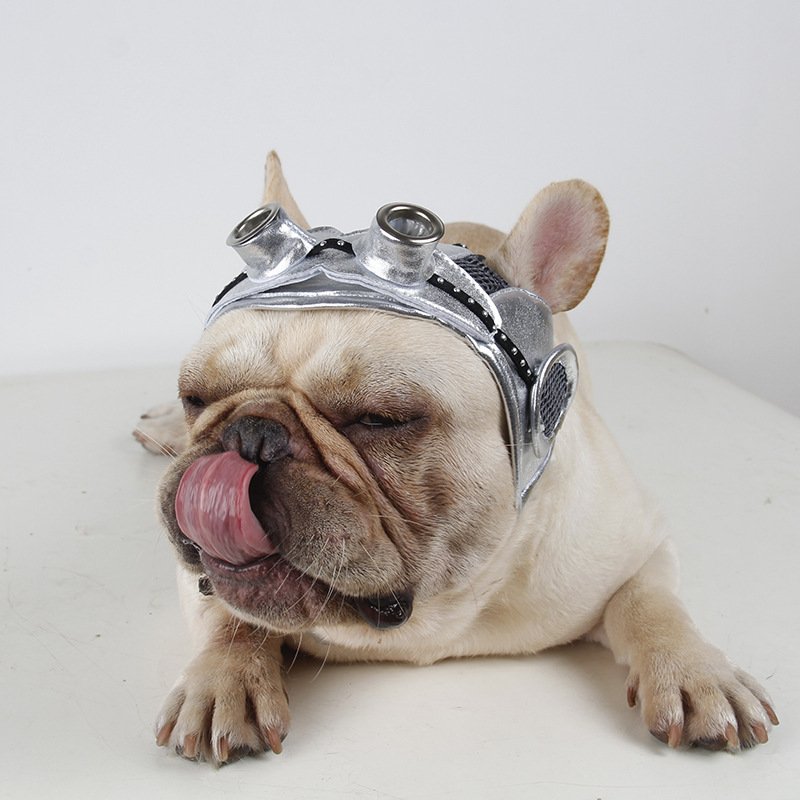 Dog Pilot Hat Costume with Goggles — Fits Cats & Dogs - Image 4