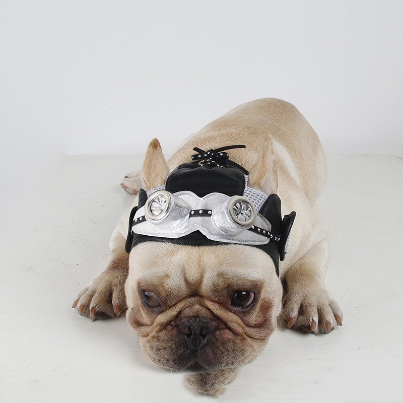 Dog Pilot Hat Costume with Goggles — Fits Cats & Dogs - Image 5