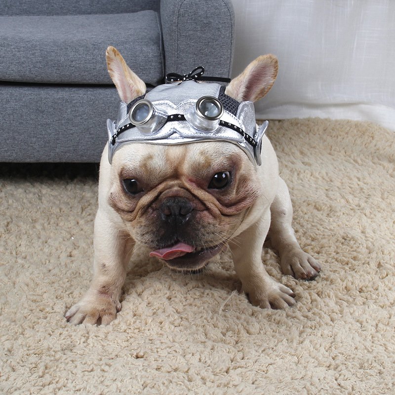 Dog Pilot Hat Costume with Goggles — Fits Cats & Dogs - Image 6