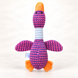Duck Plush Squeaky Crinkle Dog Toy