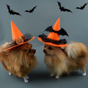 Halloween Pet Hat – Witch, Pumpkin & Spider Designs